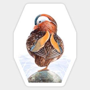 Mandarin Duck Art by Nadya Neklioudova Sticker